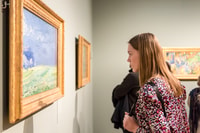 Amsterdam, Van Gogh Museum Ticket - Housity