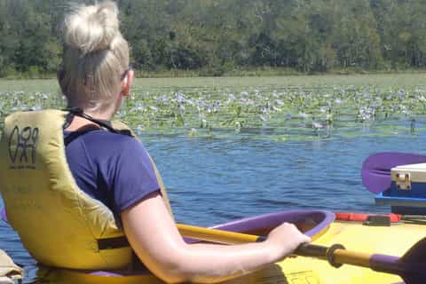 selfguided noosa everglades kayak trip