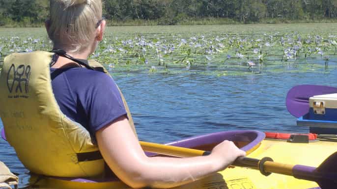 selfguided noosa everglades kayak trip