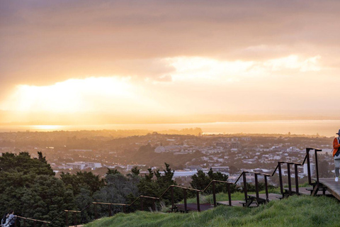 Auckland: Private Sunset Tour
