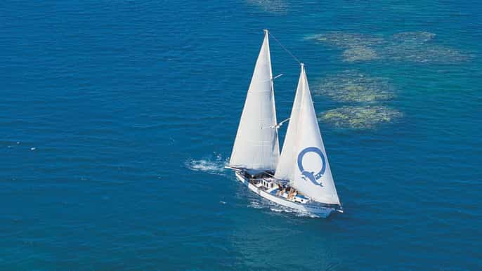 cairns green island reef fullday sailing cruise