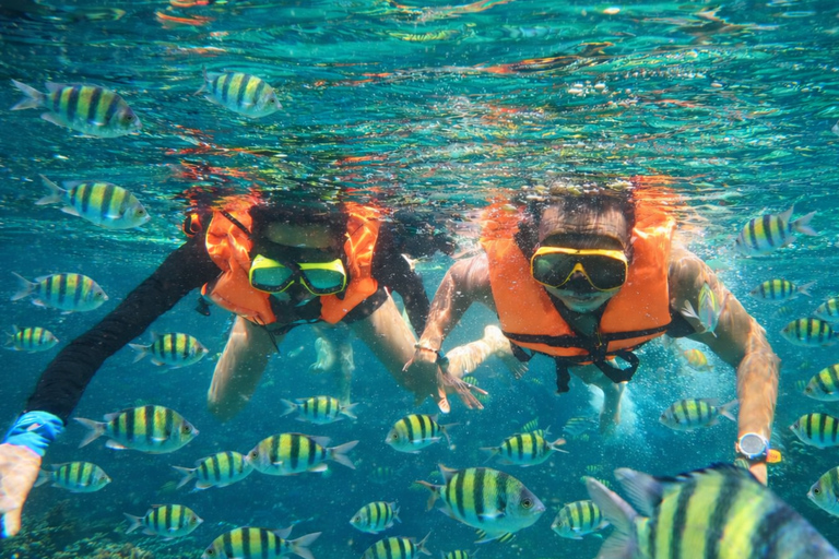 Phuket: Phi Phi Maya Bamboo and Khai Island Full-Day Trip