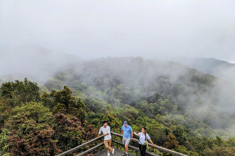 Full-Day Bach Ma National Park Trekking Tour with Lunch Shared Tour: From Hue City Center