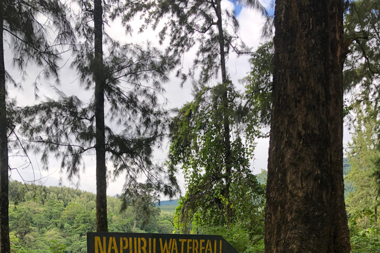 Caminhada em Arusha: Cachoeiras de Napuru