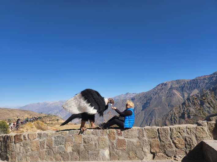 Arequipa: Tour del Canyon del Colca con colazione e pranzo