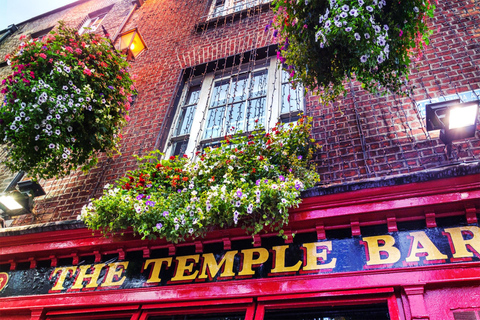 Dublin : visite du Livre de Kells, du château de Dublin et de l'église du ChristTour en anglais