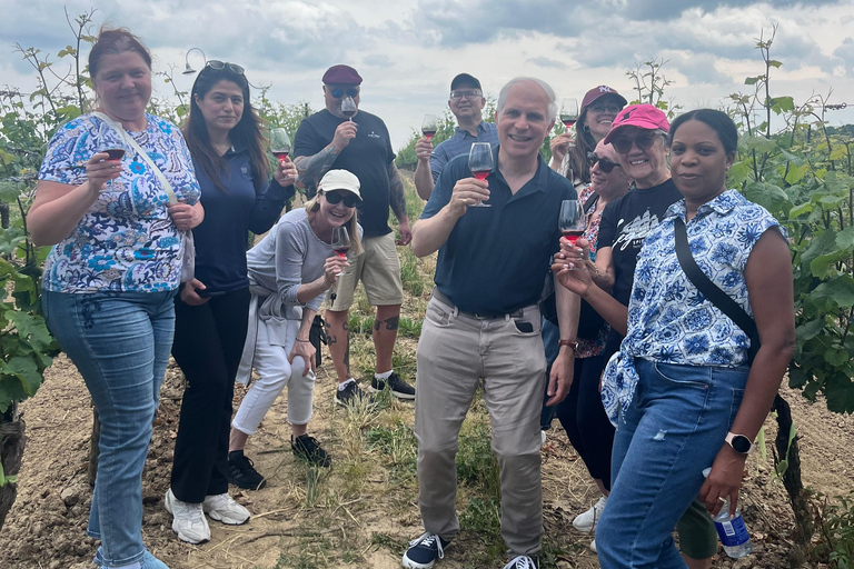 Niagara Benchlands: Ebike Tour with Wine Tastings
