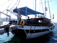 De Bodrum, croisière en bateau d'une journée complète - Hizvo