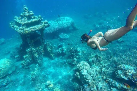 Bali/Amed : Expérience de plongée en apnée dans un temple sous-marin