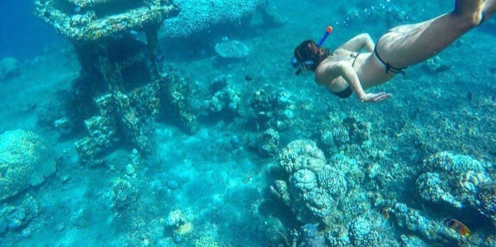 Bali snorkeling tour — underwater marine life and coral reefs — image 2
