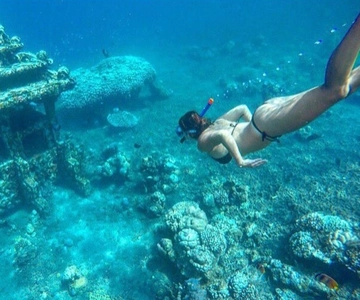 Bali/Amed: Underwater Temple Snorkeling Experience