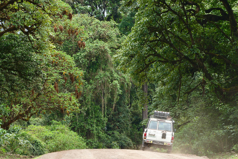 3-tägige Tour zum Bale Mountains Nationalpark mit Besuch in Addis Abeba