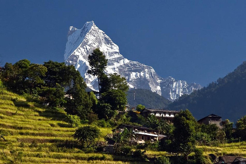 7 Daagse Mardi Himal Trek vanuit KathmanduMardi Himal Trek vanuit Kathmandu in 7 dagen