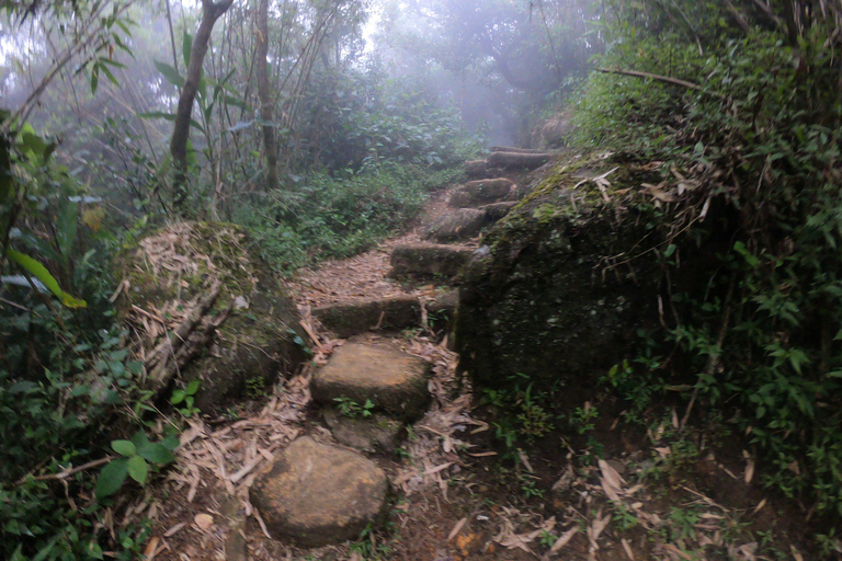 Kandy: Waterfalls and Local Village Day Tour with Lunch