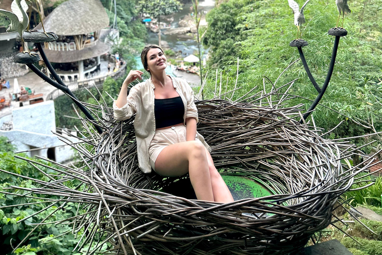 Ubud Waterfall, Temple, Rice Terrace & Art with Transfers