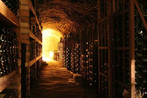 Verona: 2-Hour Private "Wine in Love" Tour