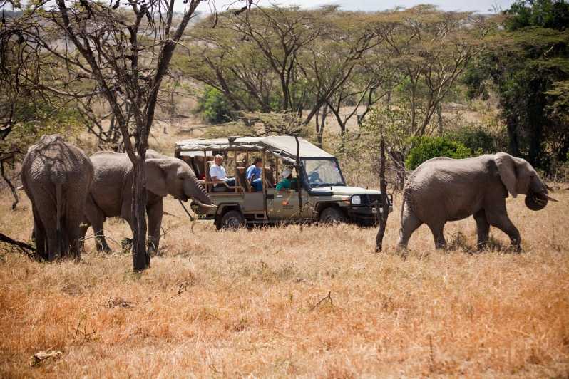 Masai Mara: esperienza luxury in Kenya di 3 giorni in aereo