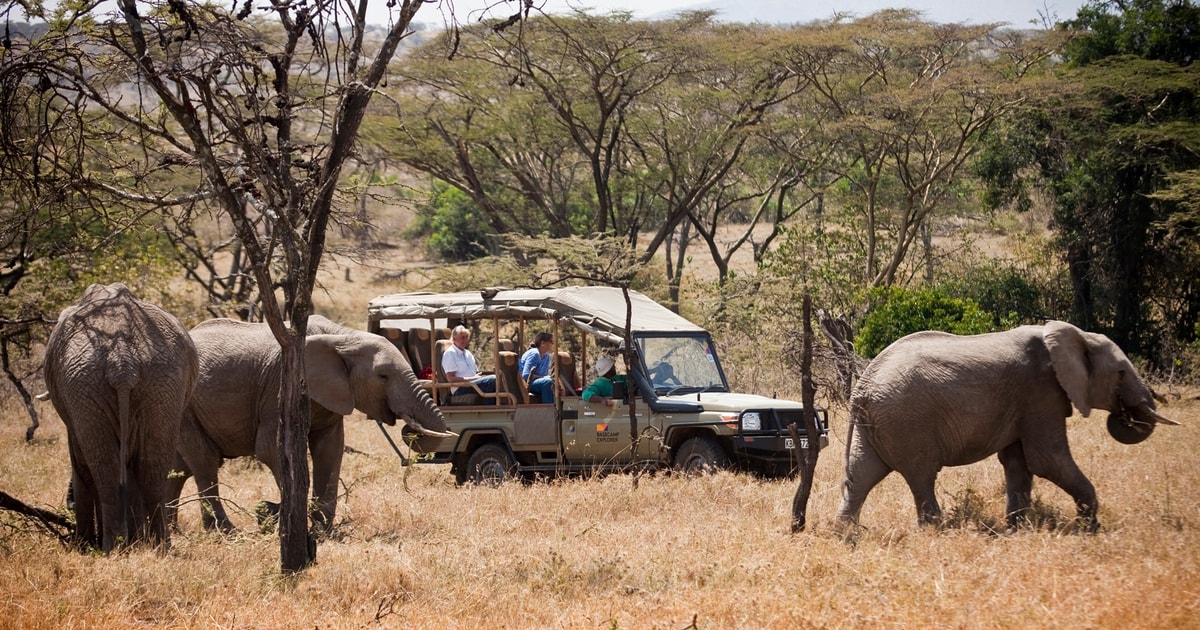 3-Day Maasai Mara Luxury Safari - Experience Kenya by Air