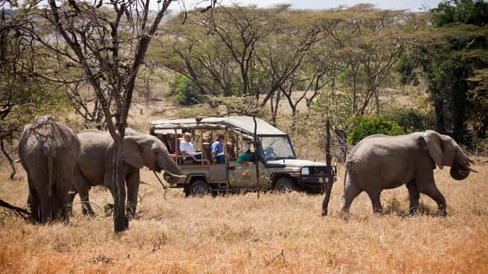 ab nairobi 3tägige luxussafari kenia aus der luft