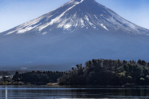 Depuis Tokyo : Pagode Chureito、Visite touristique du Mont Fuji à la journéeShinjuku