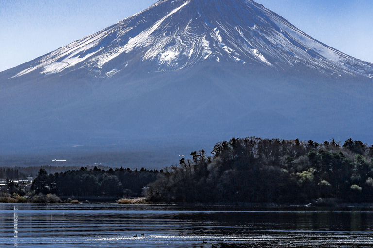 From Tokyo: Chureito Pagoda、Mount Fuji Sightseeing Day Tour Shinjuku