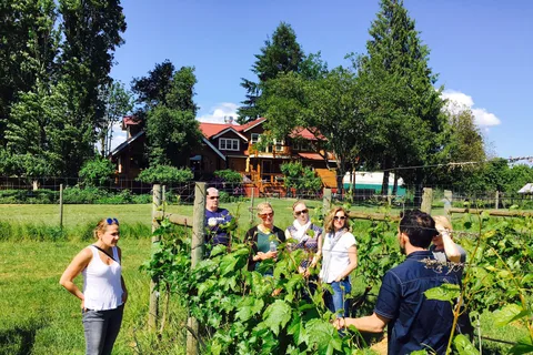 6-Hour Victoria to Cowichan Wine Tour