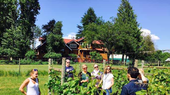 6hour victoria to cowichan wine tour