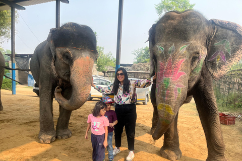 Elefun Bästa elefantreservatet i Jaipur