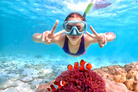 From Pattaya: Private Speedboat to Nemo Island with Snorkel From Pattaya: Private Speedboat Tour Samaesan with Snorkel