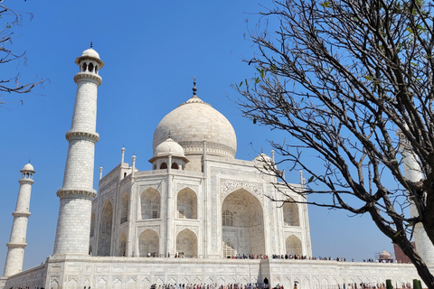 From Delhi: Agra Day Trip with Taj Mahal and Agra FortAC Car and Tour Guide Service Only