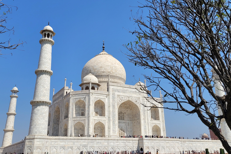 From Delhi: Agra Day Trip with Taj Mahal and Agra FortAC Car and Tour Guide Service Only