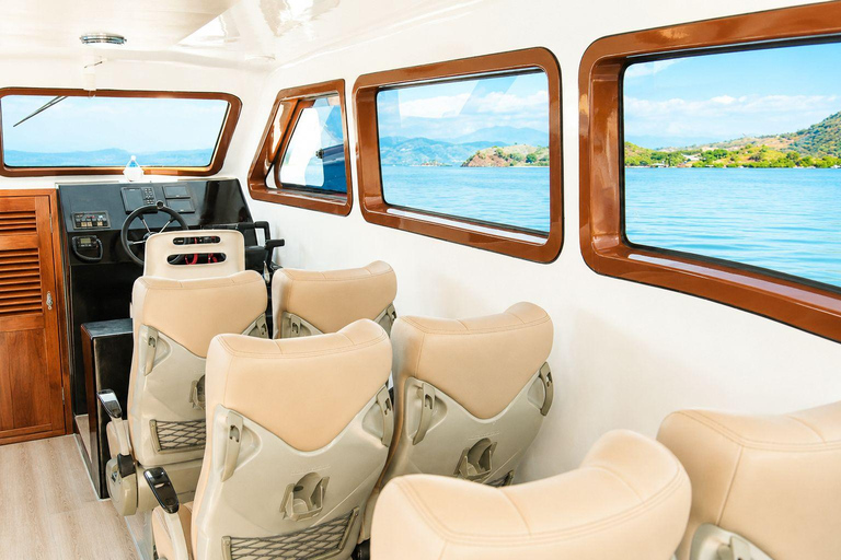 Komodo Day Trip 6 Spots | Premium Speedboat & Entrance Fees