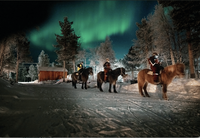 Kiruna: Northern Lights Horseback Ride with Dinner