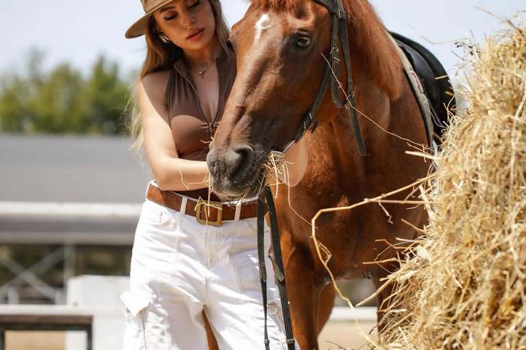 巴库骑马体验：邂逅世界名驹标准套餐