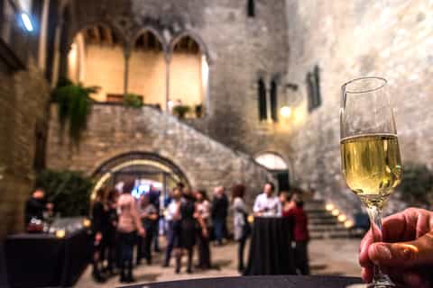 Barcelona: Requesens Palace Guided Visit, Cava & Show