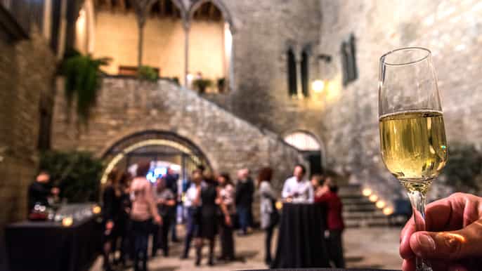 barcelona requesens palace guided visit cava show