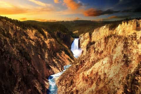 Jackson: Yellowstone Old Faithful, Lower Loop & Wildlife