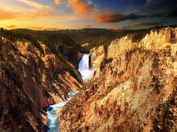 Jackson: Yellowstone Old Faithful, Lower Loop & Tierwelt. Foto: GetYourGuide Jackson: Yellowstone Old Faithful, Lower Loop & Tierwelt. Foto: GetYourGuide