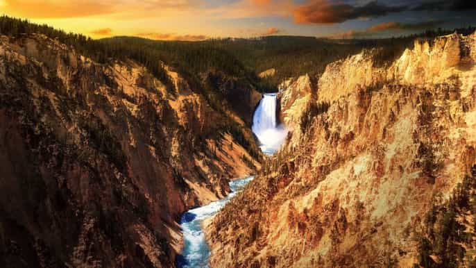 jackson yellowstone old faithful lower loop wildlife