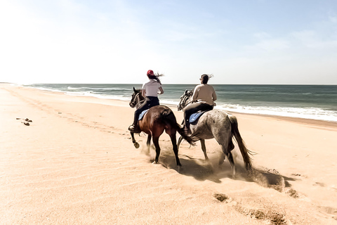 Jose Ignacio: Unforgettable Coastal Horseback at the Beach
