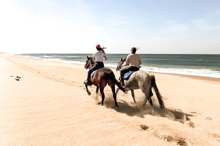 Jose Ignacio: Unforgettable Coastal Horseback at the Beach