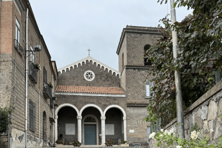 Sorrento: Rondleiding door de citroentuin met proeverijen