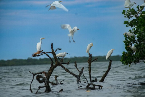 From Mombasa: Funzi Island Canoe Safari with Guide