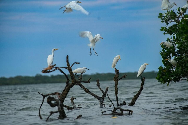 From Mombasa: Funzi Island Canoe Safari with Guide