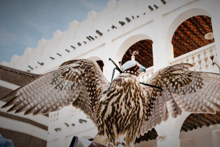 Doha: Guided City Highlights Tour with Roundtrip TransferPrivate City Tour