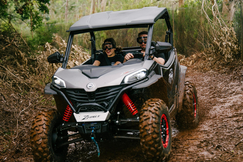 Madeira: Off-Road Buggy Tour Through Laurissilva Forest Madeira: Scenic Buggy Tour Through Funduras and Portela