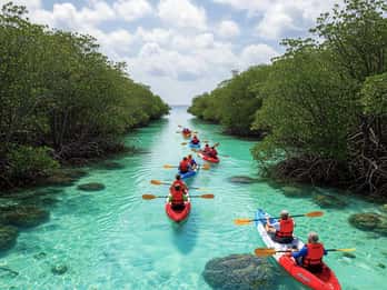Florida Keys: Key West Kayak Eco Tour with Nature Guide
