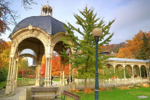 Vanuit Praag: dagvullende tour Karlovy Vary met lunchRondleiding in het Frans