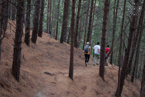 Bogota: East Hills Mountain Hike