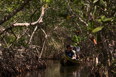 La Boquilla: 3-stündige Kanutour durch den Mangrovenwald